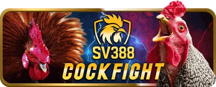 Hoàn Trả Thua Cược VIP